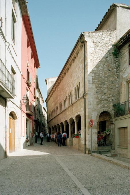 Apartamentos Saltarel-Lo Besalú Extérieur photo